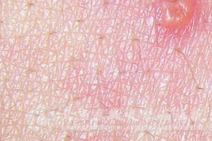 ʲôΣ
