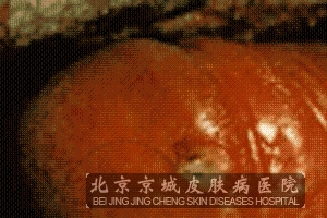 ÷ص