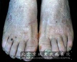 ԤѢȾĵ