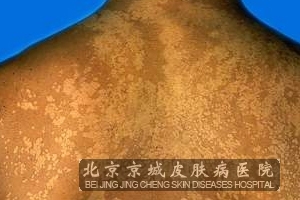 ѢҪʲô