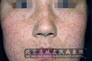 沿ȸ
