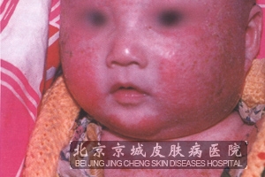 Ӥʪ֢״ô