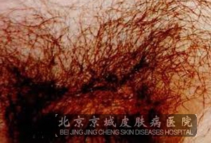 ʭʲô֢״