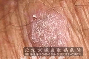 �������������Ҫ��������Щ