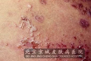 ������������Ʒ���