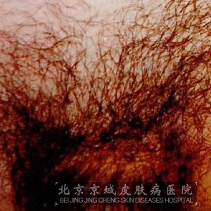 ʭ֢״Щ