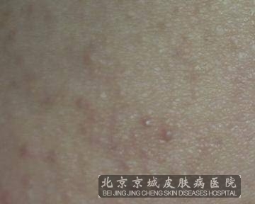 ��������ݡ��������Ʒ���