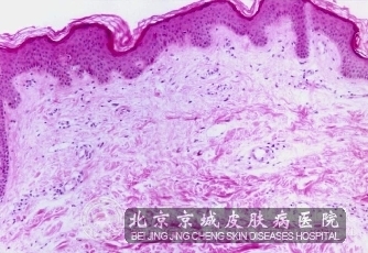 ����ݡ���������