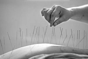 ����ݡ�����������Ʒ���