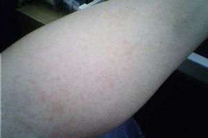 ݡ����ϼ����Ʒ�����ʲô