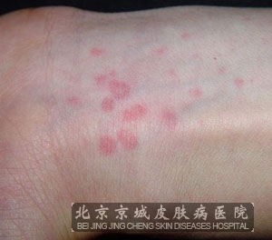 ������ݡ����