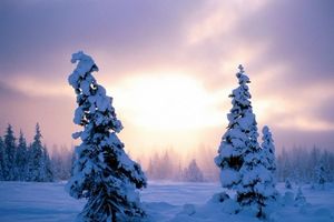 疱疹样皮炎冬季护理原则