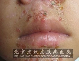 賱ʪշŧ崯