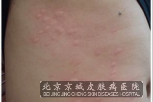 ��������ݡ����ı���������ʲô