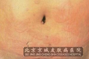 ����ݡ����Ĳ�������Щ