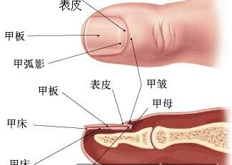 ���˻�ָ������ô����