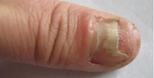 ���ϻ�ָ����ʲô����