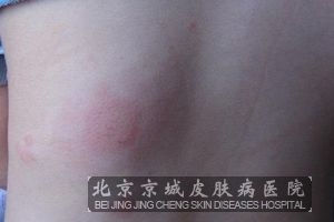 ������ݡ���������ص�