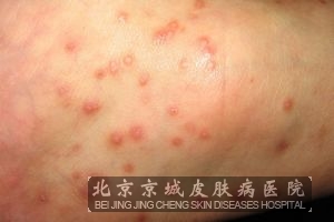 ݡ�������