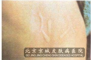 ����ݡ������Ҫ��ô��