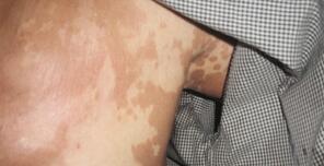 ����Ѣ��������