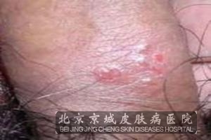 ��ν�����ֳ�������