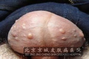 ��ֳ����������Щ��ʶ