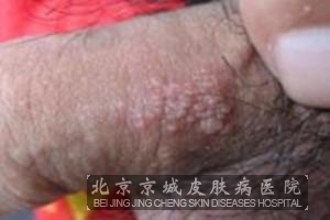 ������ֳ������ĳ�����������Щ