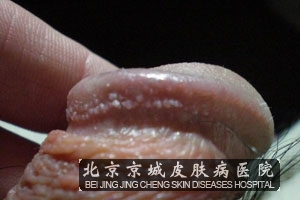 ͷеĲʲô