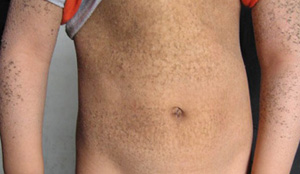 ���۲���Ԥ��Ӧ�ô��ļ�����������