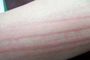 ����ݡ������Ҫ������