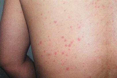 ��������ݡ����Ĳ�����ʲô