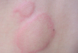 ������ݡ������ô����