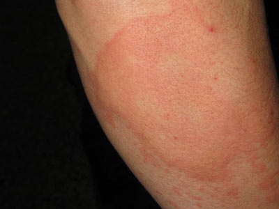 ��Щ���ػ����ݡ����