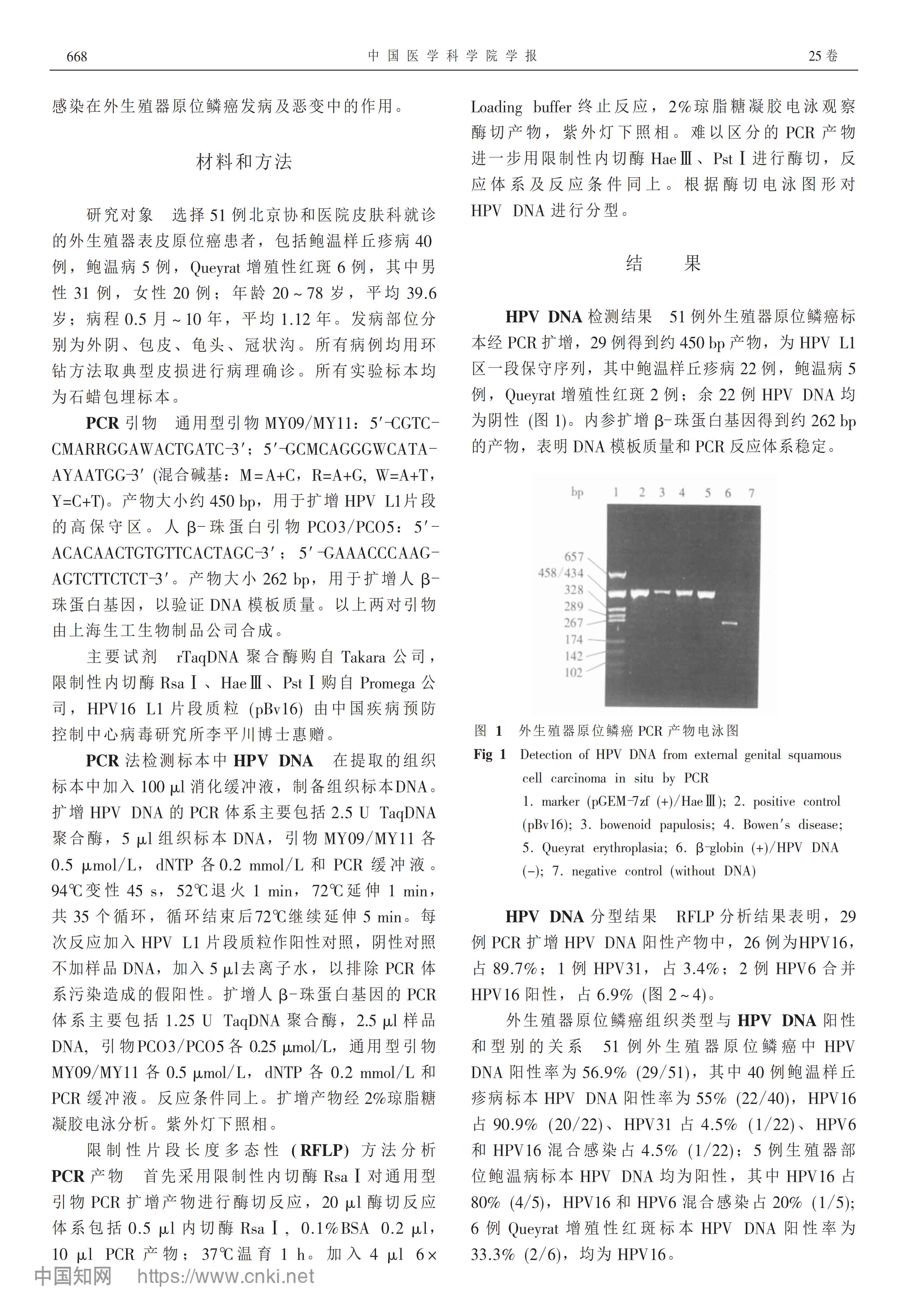 PCR-RFLP法检测外生殖器表皮原位癌组织HPV_DNA