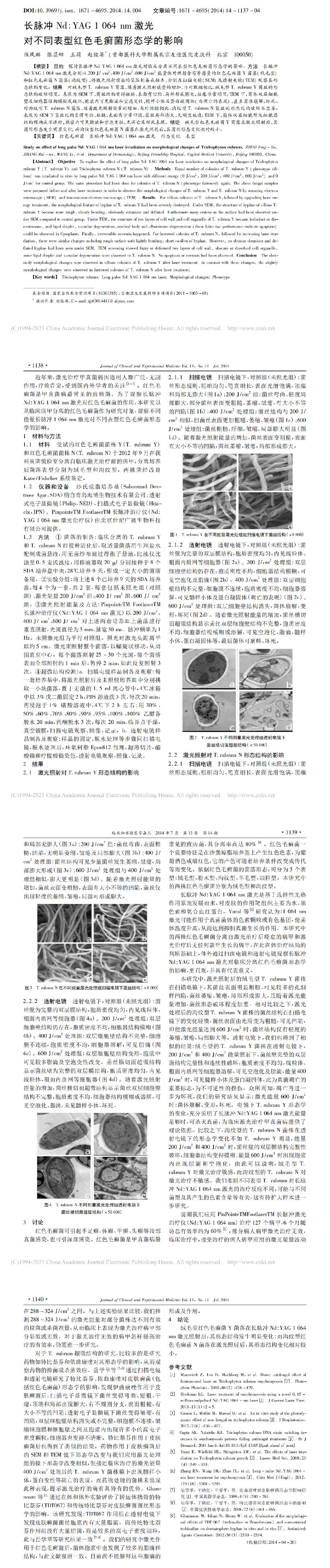 长脉冲 Nd: YAG 1 064 nm 激光对不同表型红色毛癣菌形态学的影响