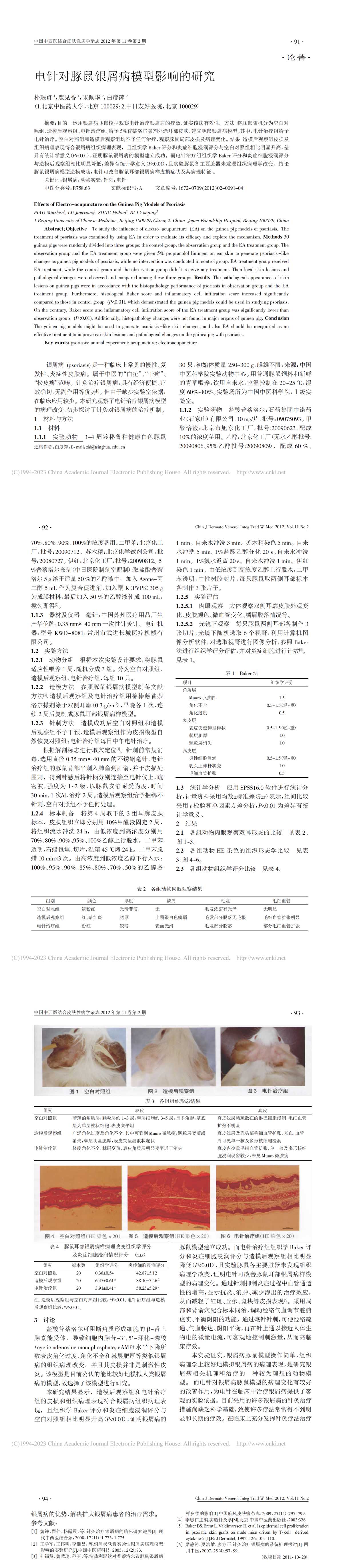 电针对豚鼠银屑病模型影响的研究