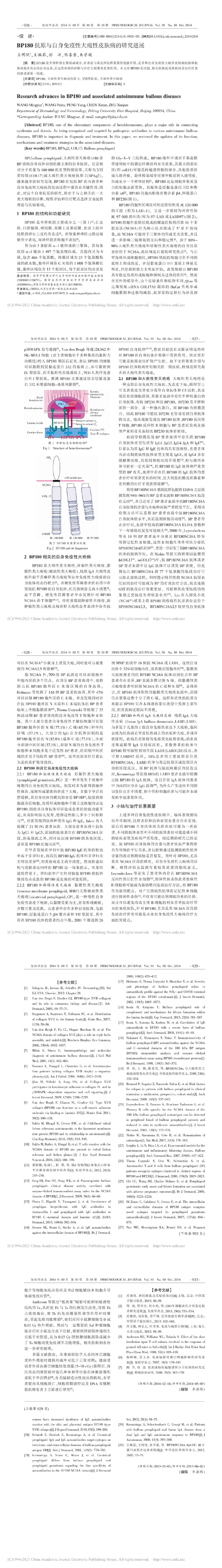 BP180 抗原与自身免疫性大疱性皮肤病的研究进展