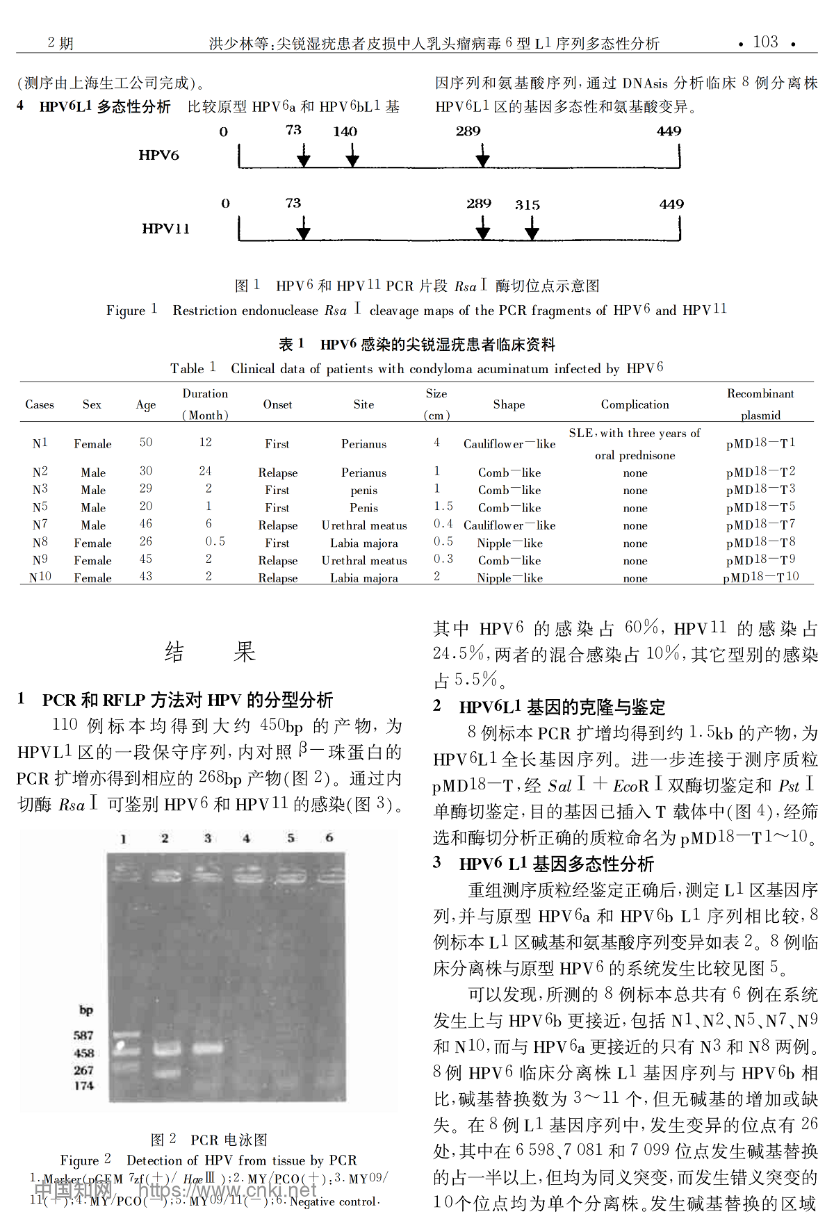 尖锐湿疣病变的人乳头瘤病毒6型 L1序列多态性分析