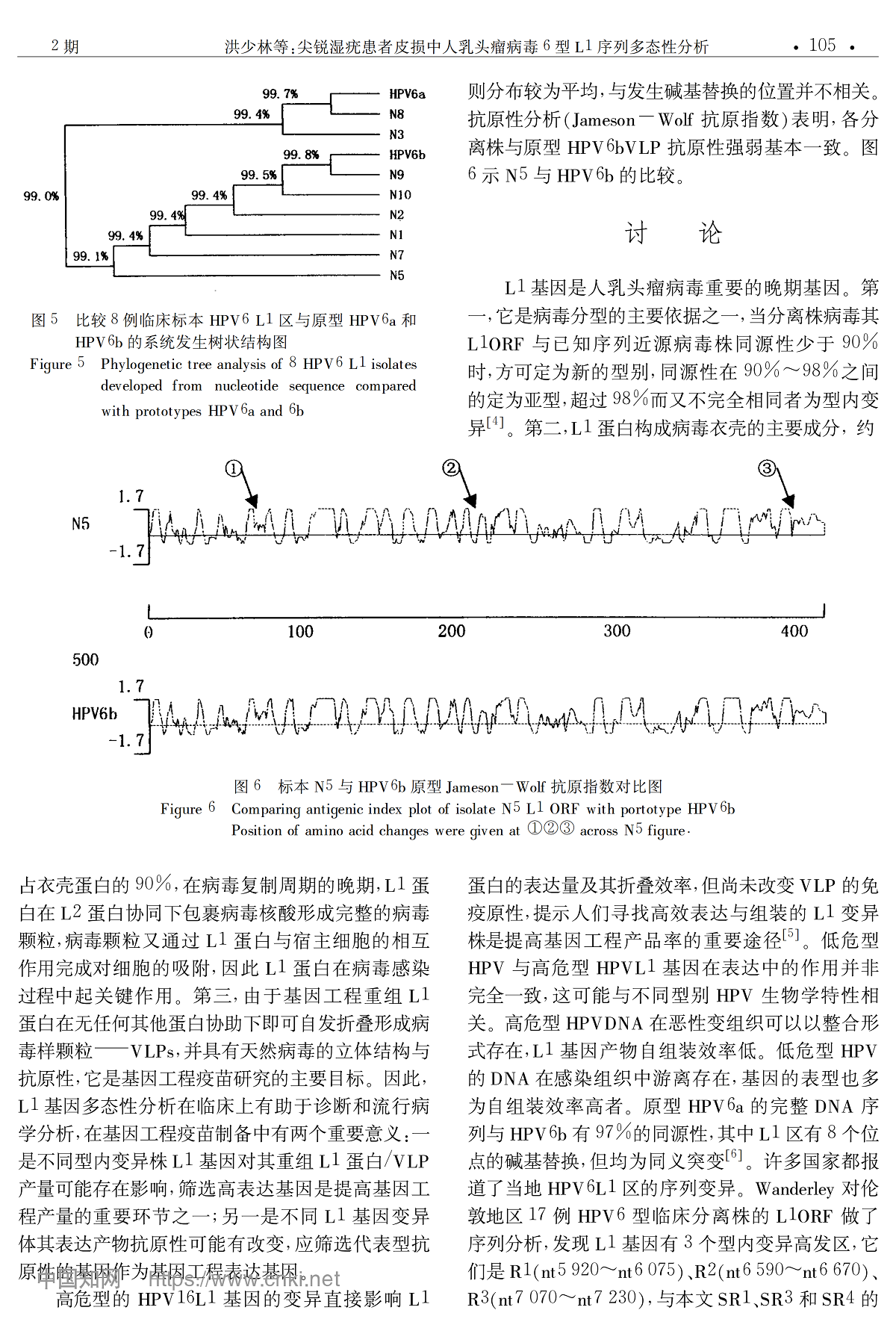 尖锐湿疣病变的人乳头瘤病毒6型 L1序列多态性分析
