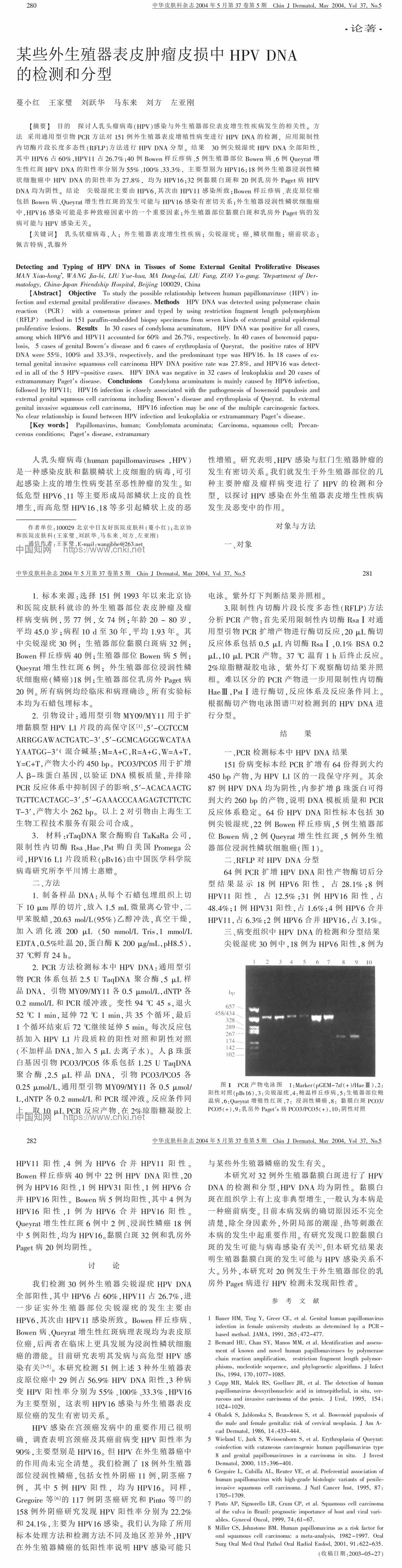 某些外生殖器表皮肿瘤皮损中HPV DNA的检测和分型