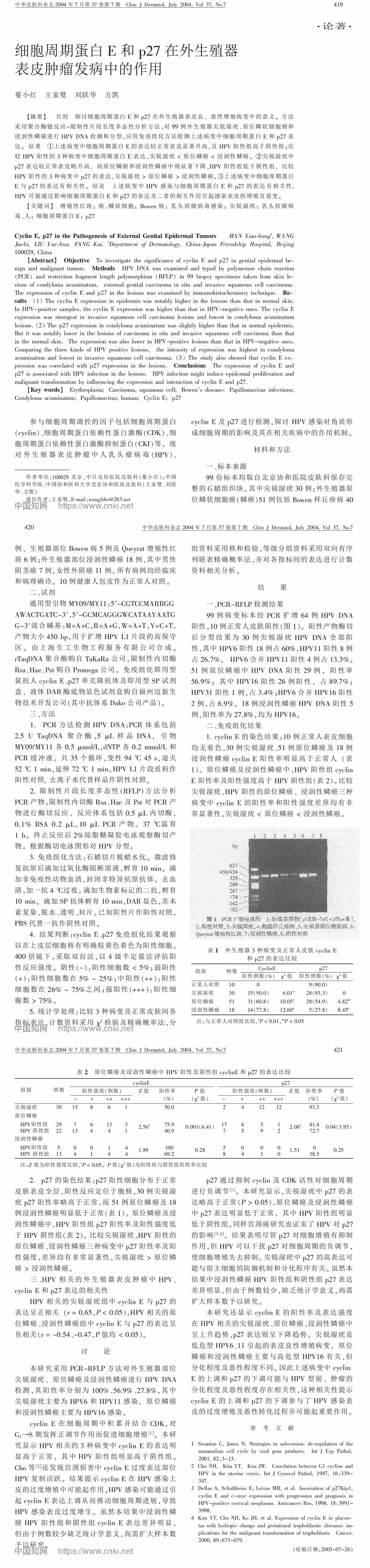 细胞周期蛋白E和p27在外生殖器表皮肿瘤发病中的作用