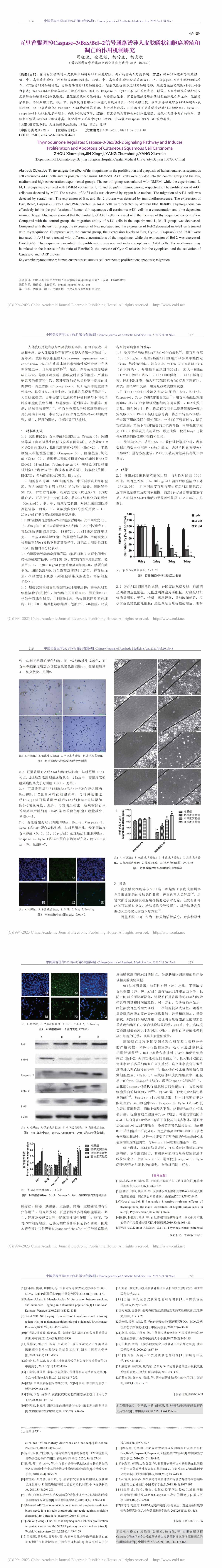 百里香醌调控Caspase-3/Bax/Bcl-2信号通路诱导人皮肤鳞状细胞癌增殖和凋亡的作用机制研究