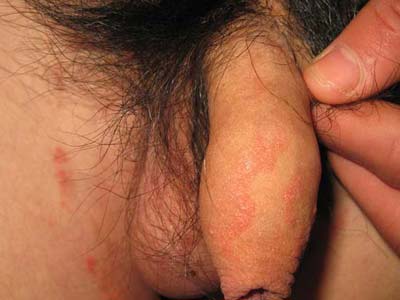 ��Ѣ��ô���ƽ����