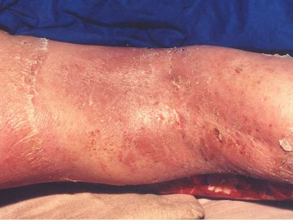 ����ʪ�����λ���